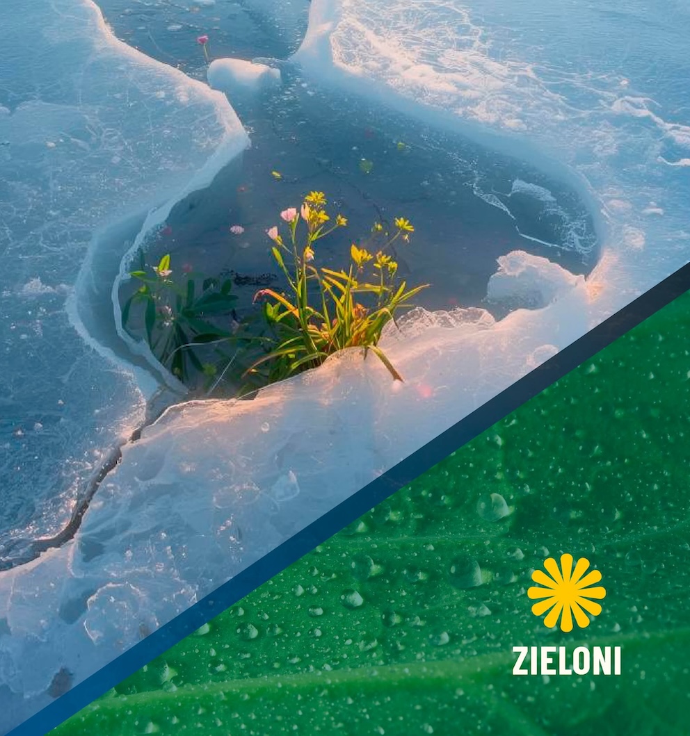 Plakat promujący wydarzenie „Przełam lody z Zielonymi”